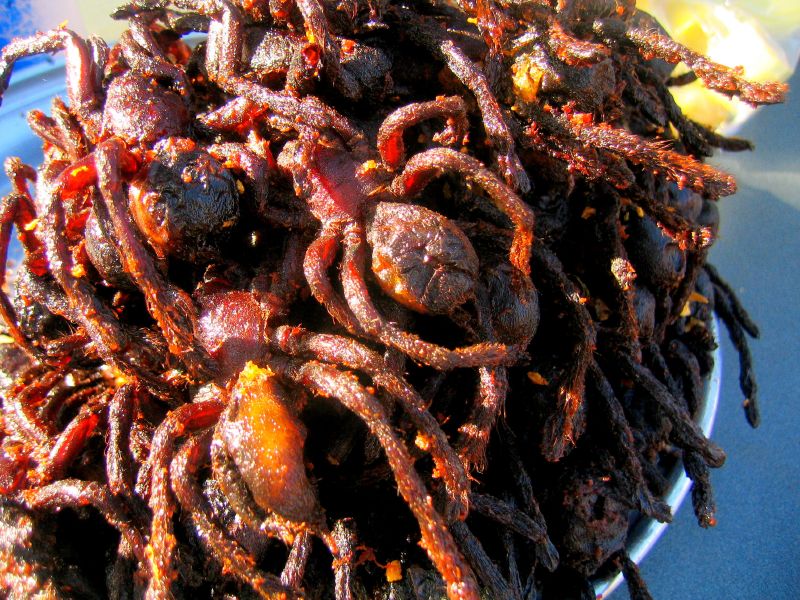 Tarantulas fritas de Camboya